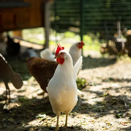 Coltivare Agrirelais Farma *